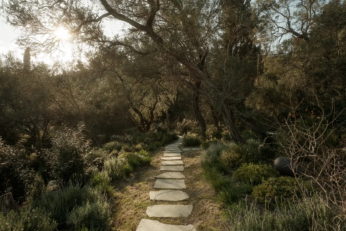 Casa Optio Corfu pelekas villa Casa Optio aaa27wbp